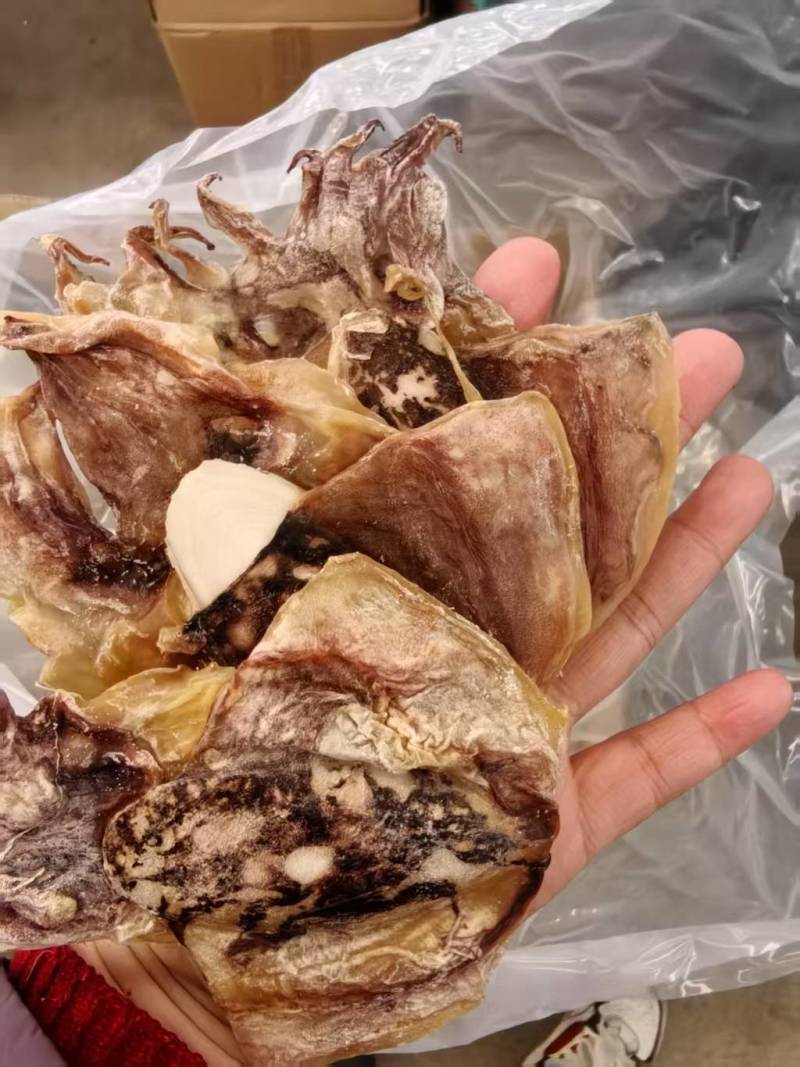 墨鱼干地摊电商批发大乌贼干货墨鱼干水产干货目鱼干干鱼