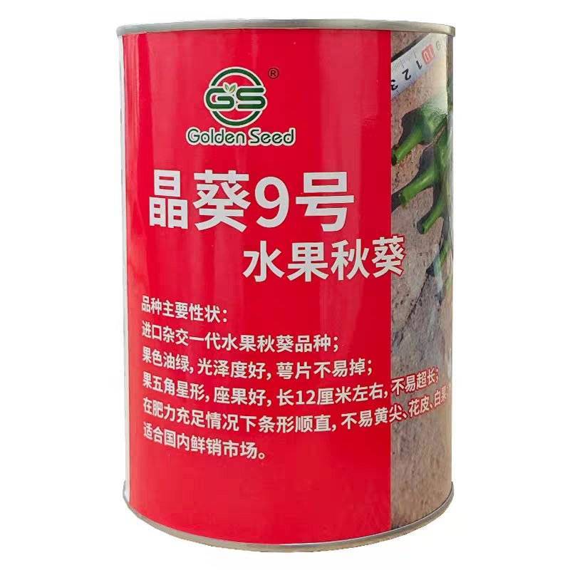 晶葵9号水果秋葵种子日本进口品种7000粒高产黄秋葵种子