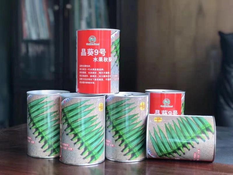 晶葵9号水果秋葵种子日本进口品种7000粒高产黄秋葵种子