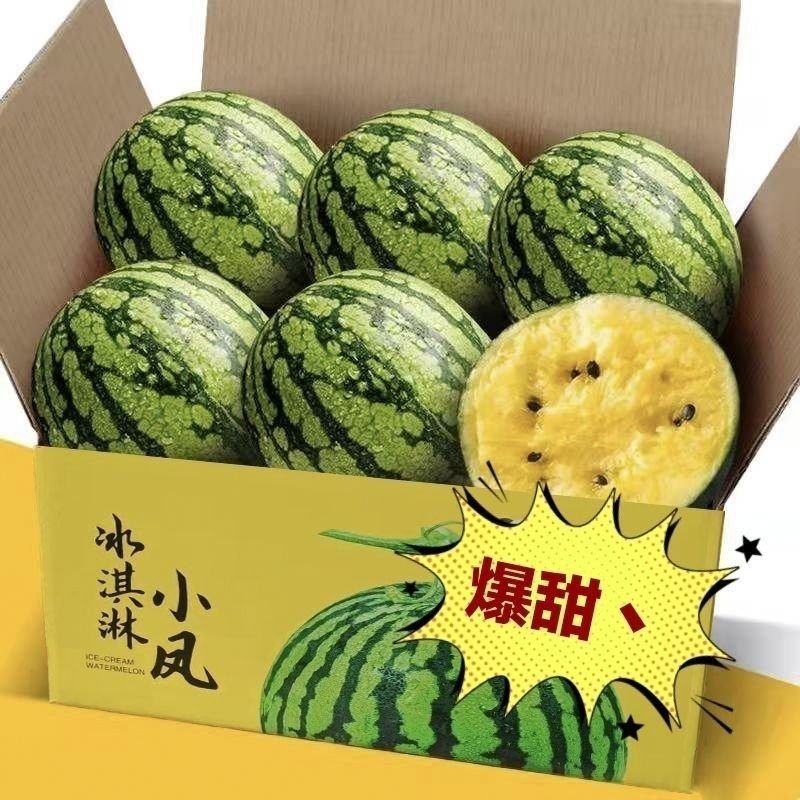 宿迁黄金特小凤西瓜种植基地直销一手货源无中间商欢迎实地考
