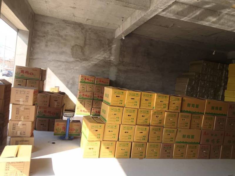 馆陶县自献鸡蛋批发出售精品鸡蛋3000件