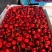红灯樱桃大樱桃规格种类齐全产地发货诚信经营欢迎致电