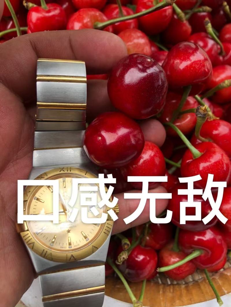 红灯樱桃大樱桃规格种类齐全产地发货诚信经营欢迎致电