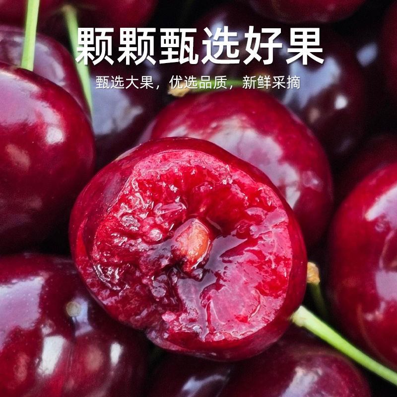红灯樱桃大樱桃规格种类齐全产地发货诚信经营欢迎致电