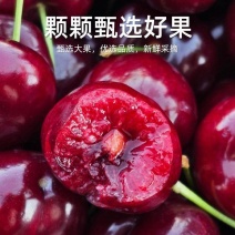 红灯樱桃大樱桃规格种类齐全产地发货诚信经营欢迎致电