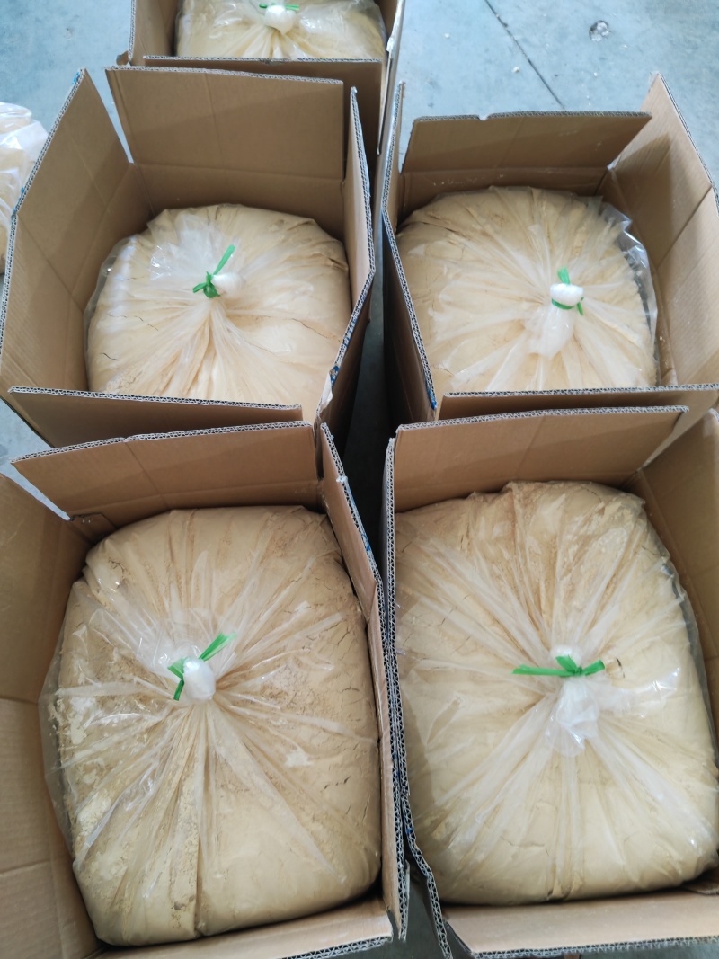 猴头菇粉纯粉菌菇粉香菇粉日常必备加工代工量产可供出口