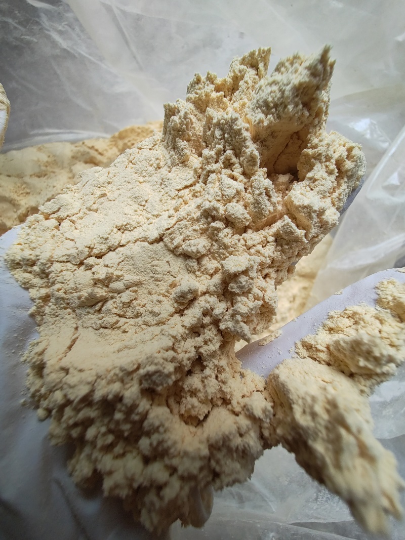 猴头菇粉纯粉菌菇粉香菇粉日常必备加工代工量产可供出口