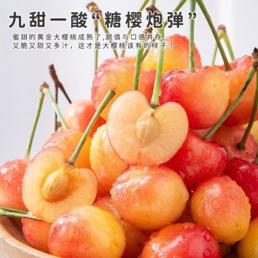 黄蜜樱桃真正的新鲜从产地直接发货品质得到保障欢迎致电