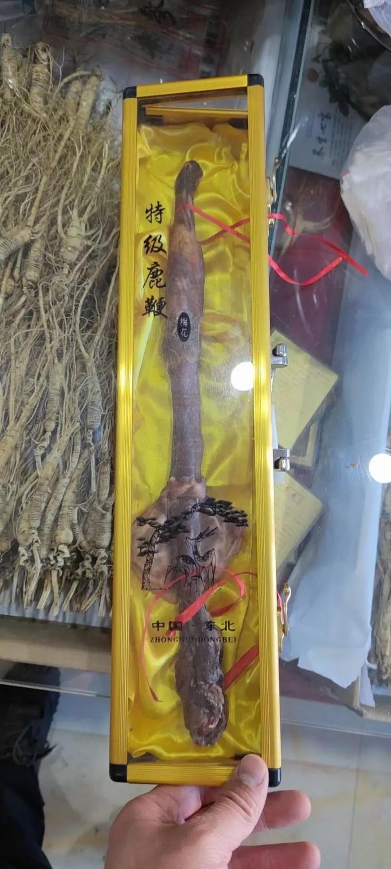 精品鹿鞭厂家直销保质保量价格优惠一手货源欢迎咨询