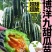 嫁接博洋9苗，实力苗场直发保真，郝有财