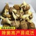 精品小黄姜种子大量供应，带芽发货，山东产地直发，货源充足