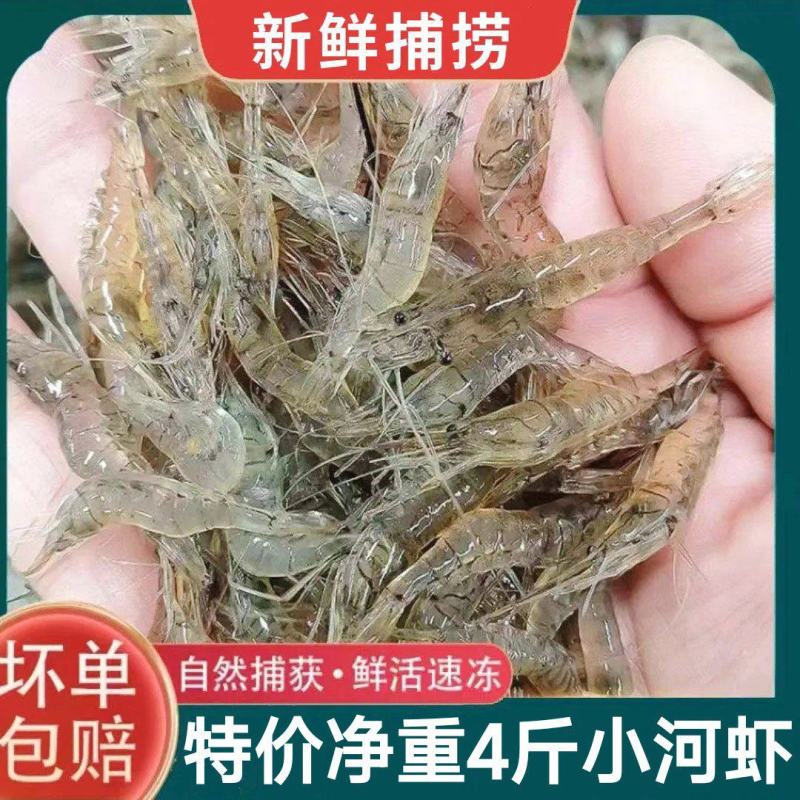 油炸河虾规格齐全小河虾鲜冻够新鲜小河虾品质稳定