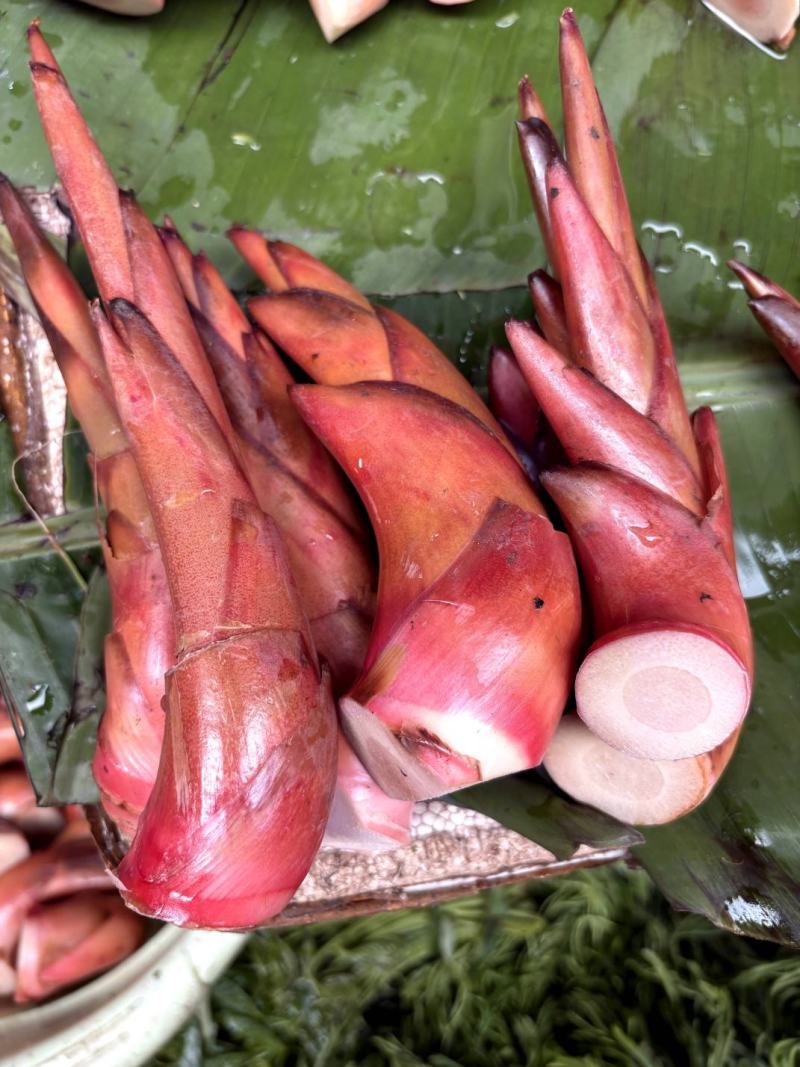 云南新鲜草果