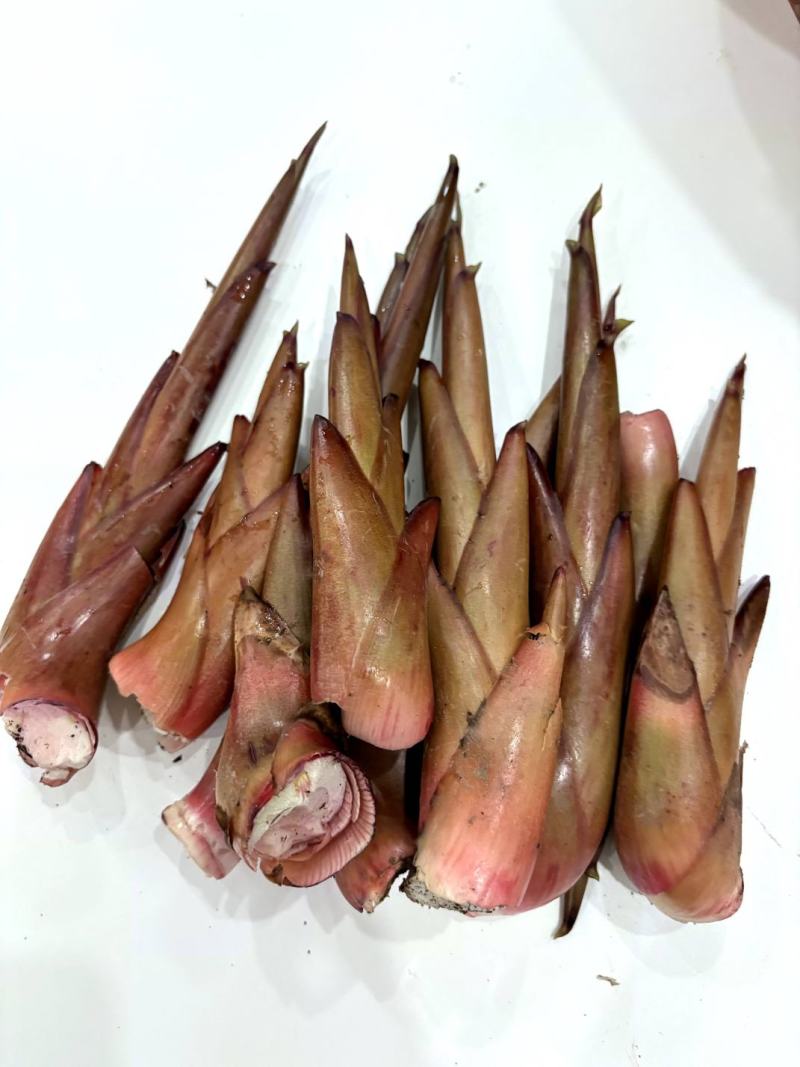 云南新鲜草果