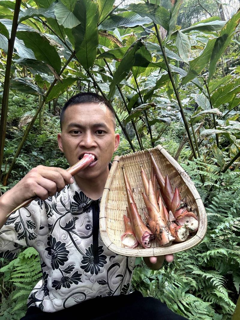 云南新鲜草果