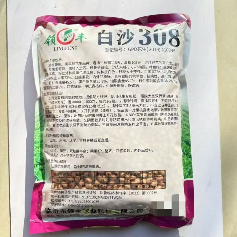 白沙308花生种子高产大花生种籽油食两用高产高油大田用种