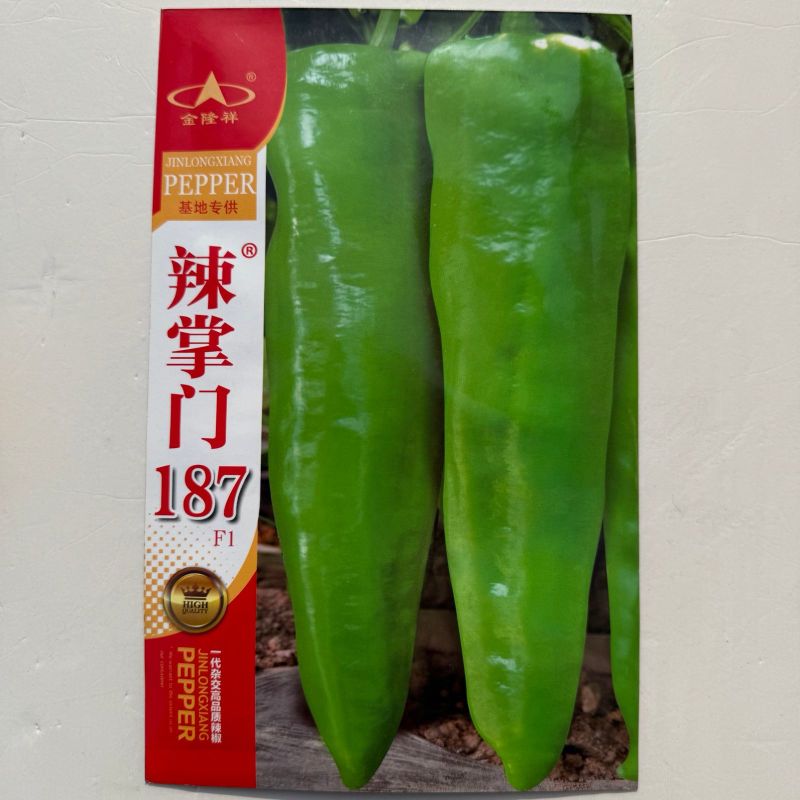 辣掌门187牛角椒种子黄绿皮大果牛角椒种籽中辣高产抗病