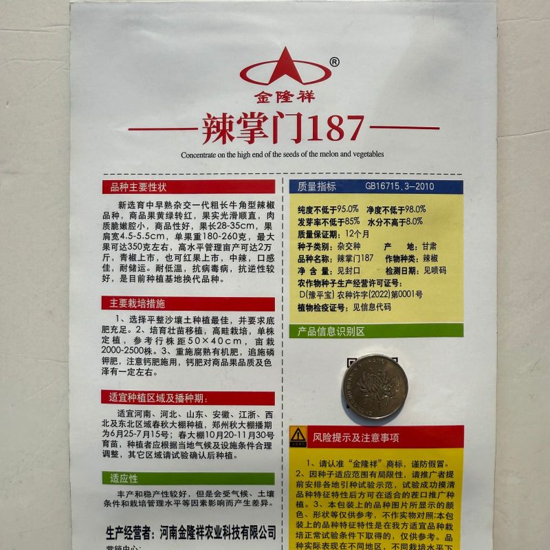 辣掌门187牛角椒种子黄绿皮大果牛角椒种籽中辣高产抗病