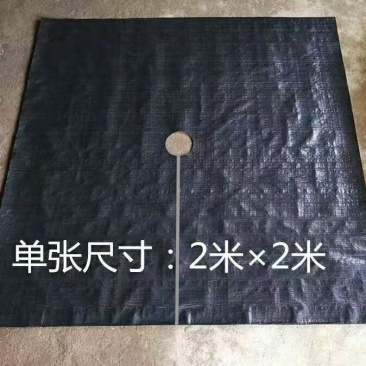 防草布透水透气园艺地布果园苗圃除草布