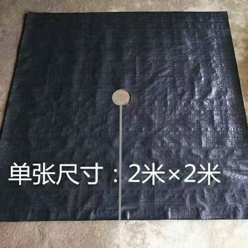 防草布透水透气园艺地布果园苗圃除草布