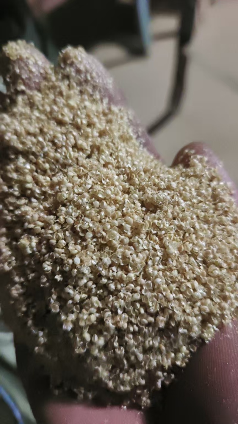 【推荐】优质小米壳，枕芯，烧酒，做醋，量大优惠