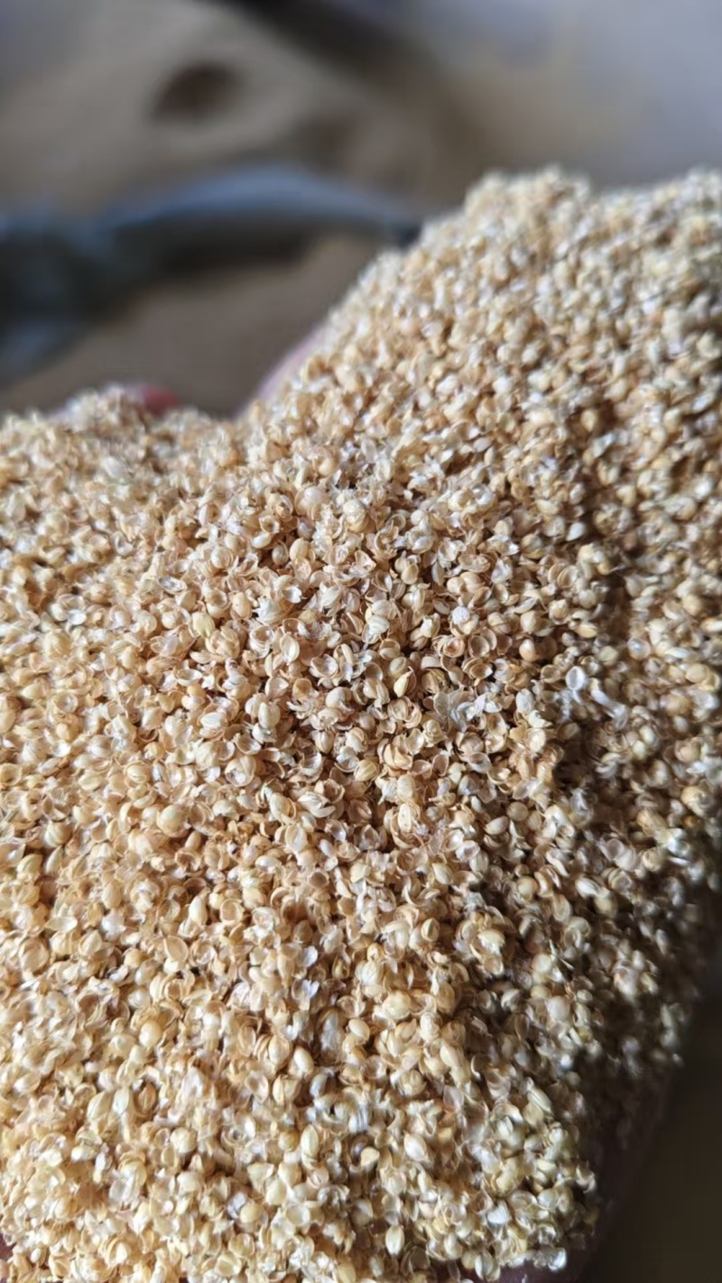 【推荐】优质小米壳，枕芯，烧酒，做醋，量大优惠