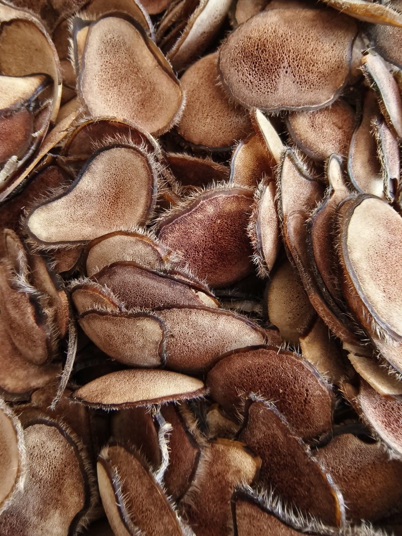 【梅花鹿血片】干鹿茸片红粉片白粉片全腊片半腊片正品保真