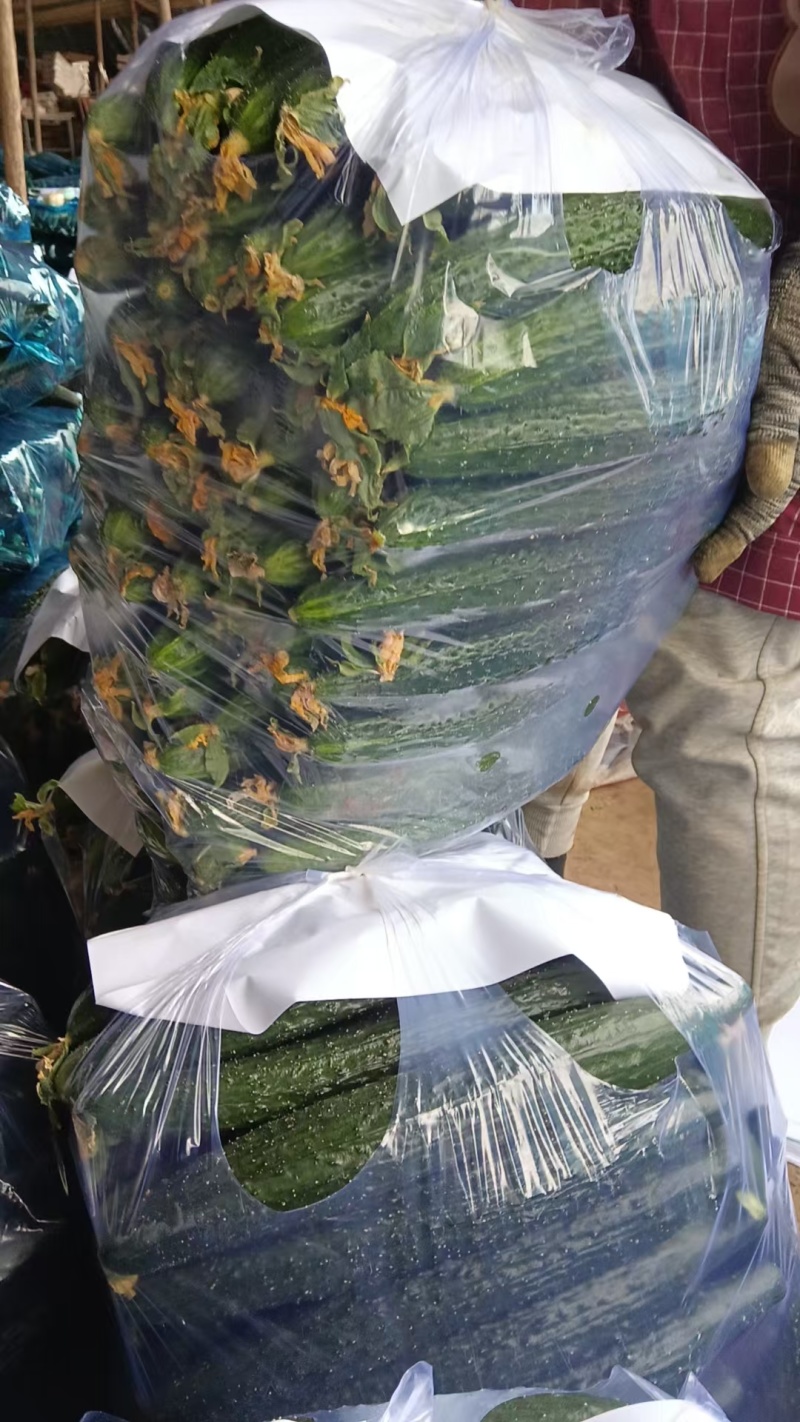 黄瓜，电商货，青肉密刺货源充足，欢迎联糸！