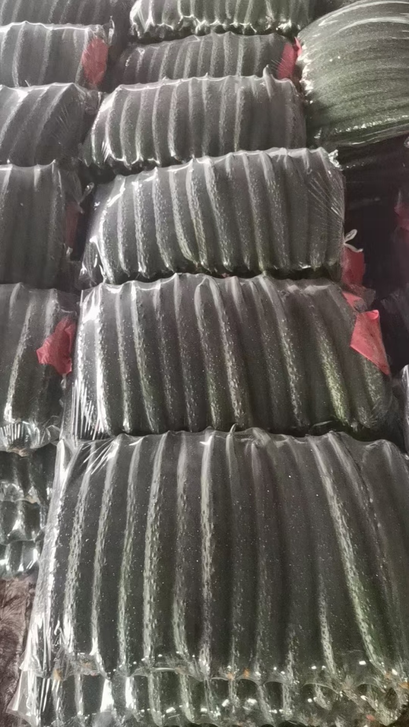 黄瓜，电商货，青肉密刺货源充足，欢迎联糸！