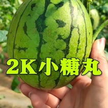 小糖丸西瓜全美2K西瓜对接电商团购批发赶集零卖