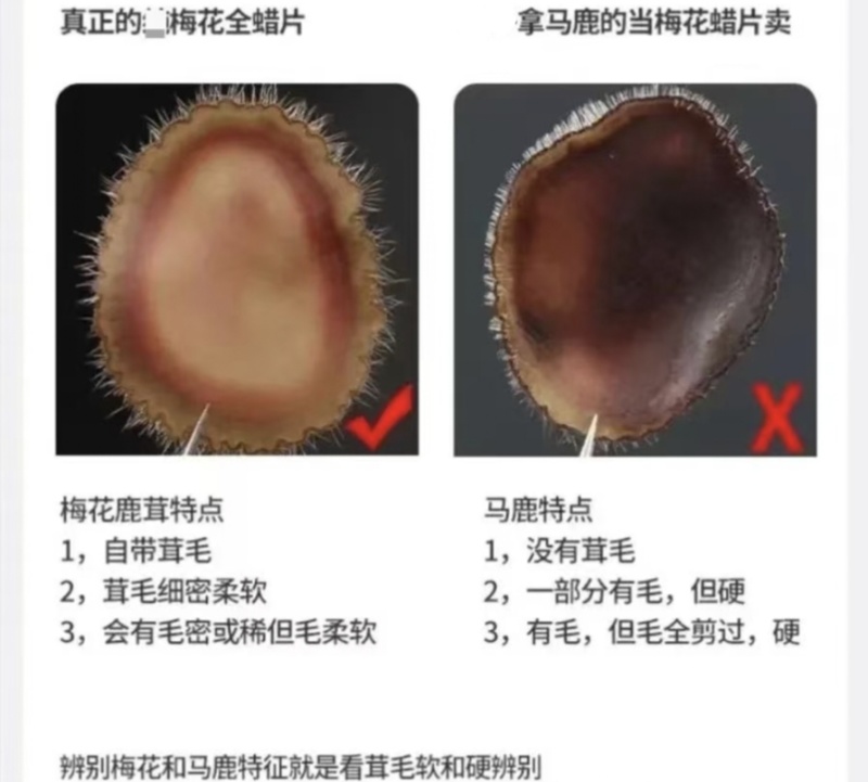 【梅花鹿茸腊片】正品保真特粉片白粉片红粉片血片黄粉片半腊