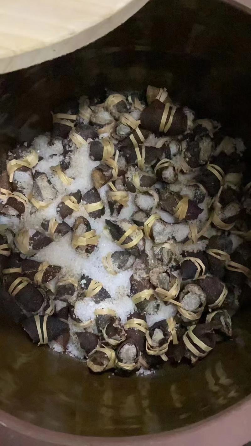 三宝扎少盐款泡水陈皮橄榄网红产品地方特产