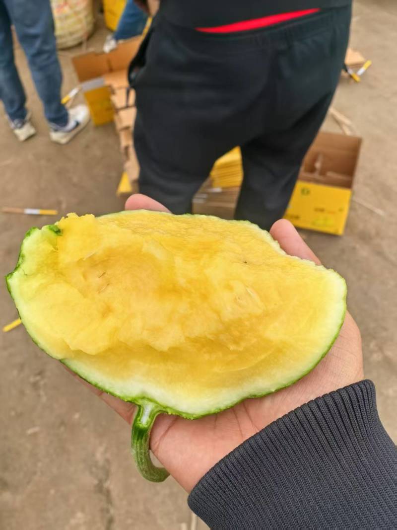 江苏产区特小凤皮薄多汁脆甜可口全国对接量大从优保质保量