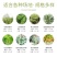 各类菜架竹竿大量批发，一万亩体量，少量勿扰。