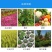 微生物菌肥有效活菌10亿本地发货瓜果蔬菜种植