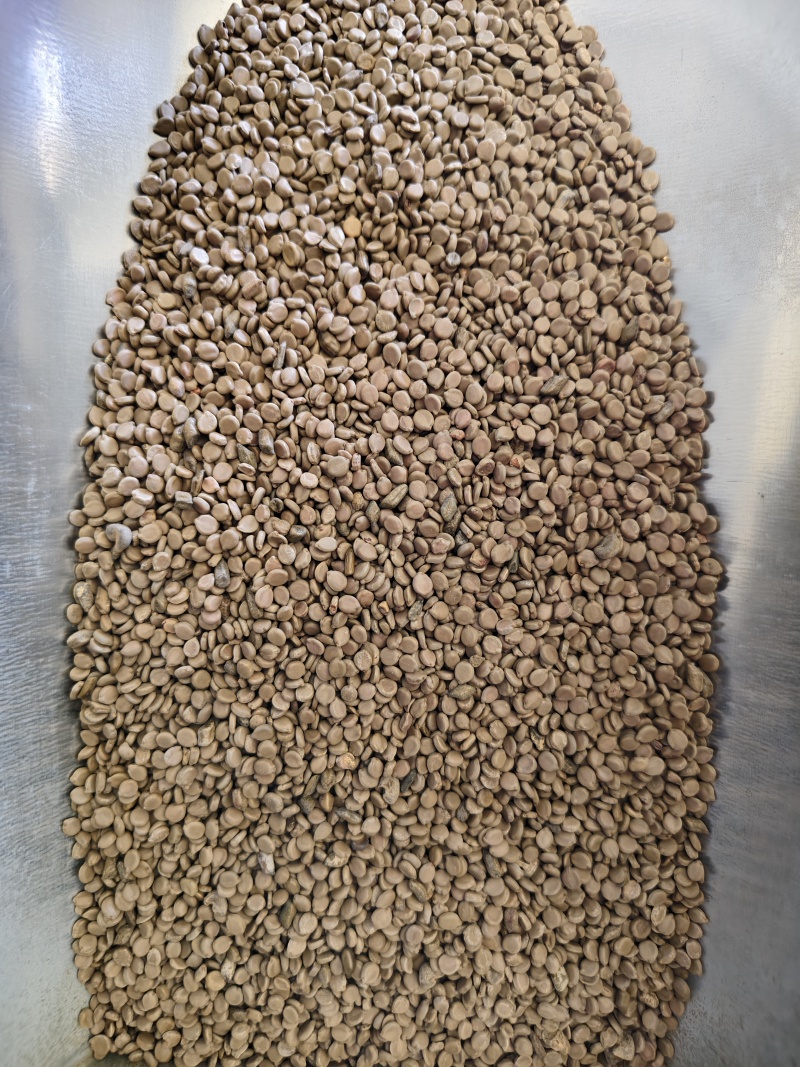 望江南中药材望江南干净无杂质大货批发量大优惠