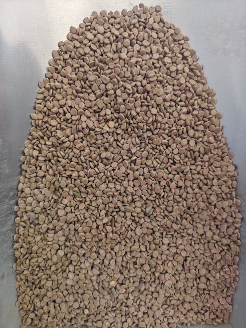 望江南中药材望江南干净无杂质大货批发量大优惠