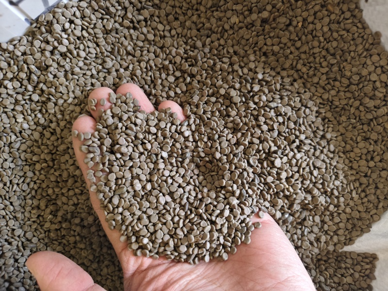 望江南中药材望江南干净无杂质大货批发量大优惠