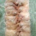 二级鸡排腿