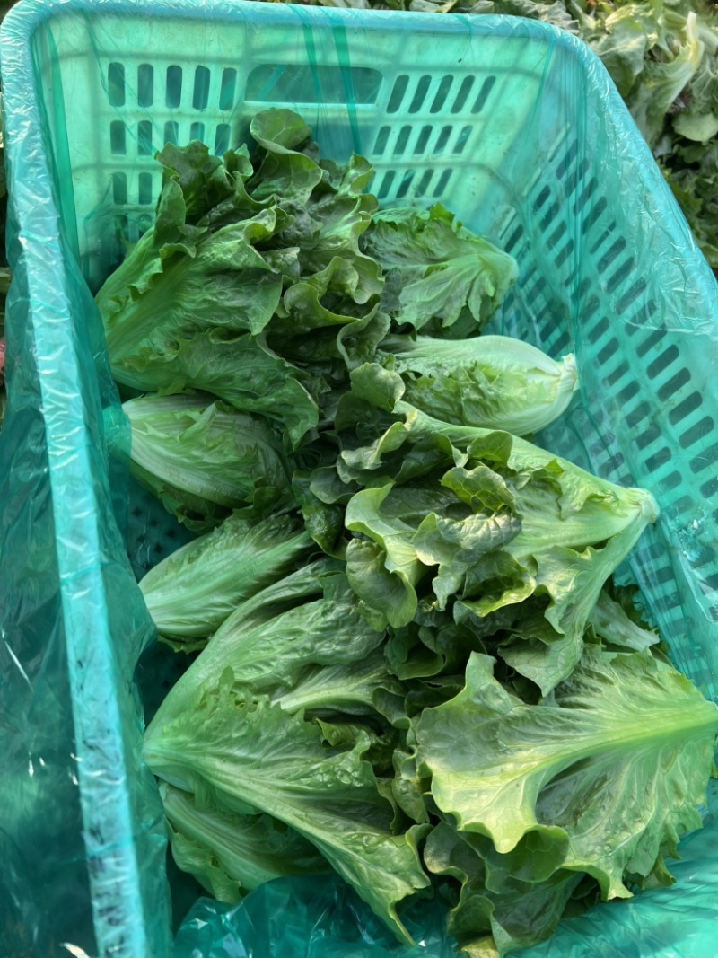 精品意大利，抢购中，价格美丽，质量**