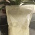食叶草粉
