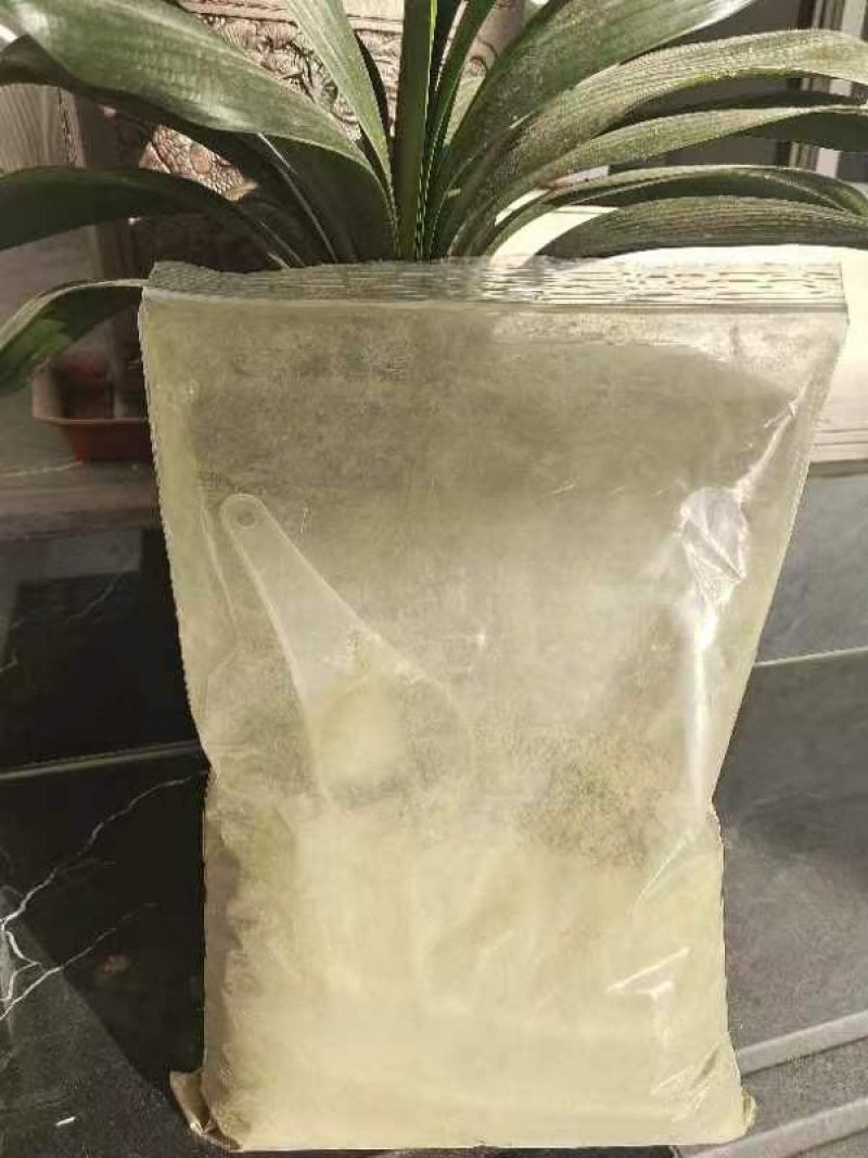 食叶草粉