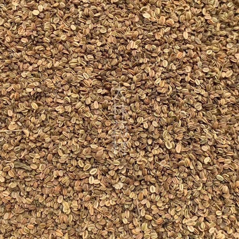 蛇床子【包邮】三斤起发货可批量可零售量大从优
