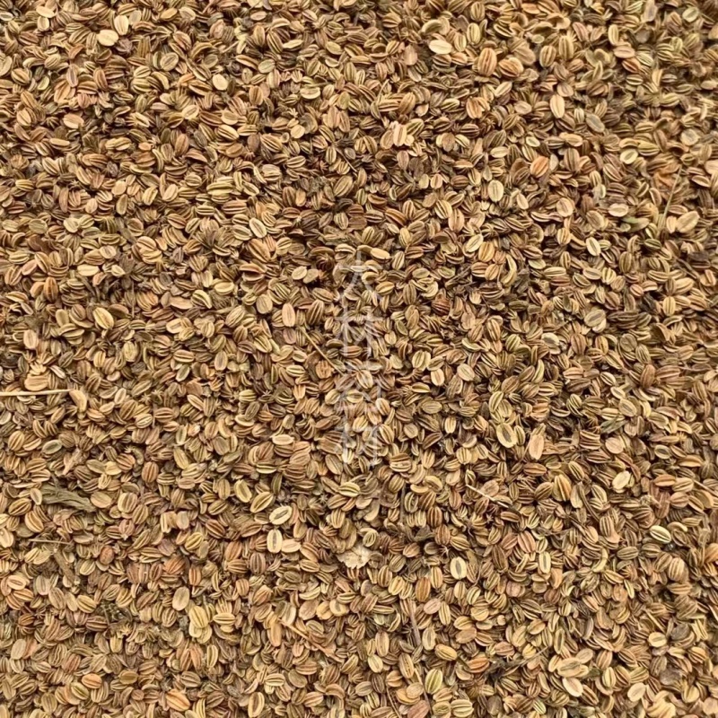 蛇床子【包邮】三斤起发货可批量可零售量大从优