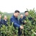 粤北万亩山茶籽油，自产自销批发零售