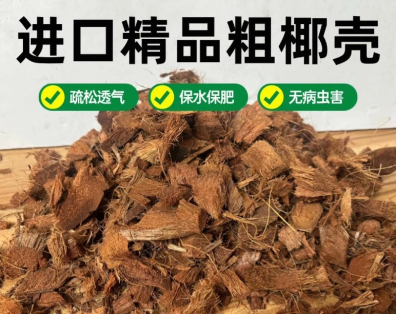 进口椰壳椰粒