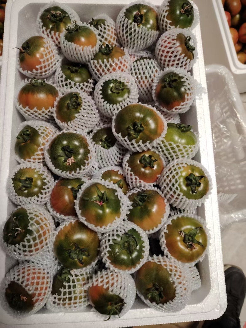 草莓柿子口感番茄大量现货绿腚柿子鹰爪西红柿基地直供