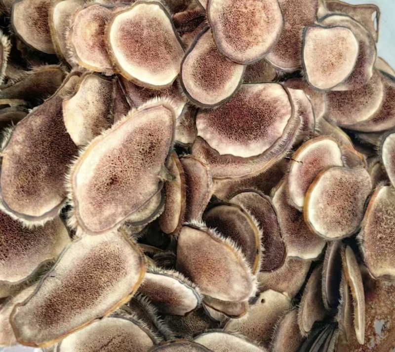 【梅花鹿血片】干鹿茸片红粉片白粉片全腊片半腊片正品保真