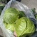 牛心甘蓝菜