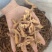 玉竹玉竹个湘玉竹无硫纯干各种规格